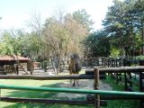 zoo_3