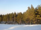 ZLATIBOR 2012.GOD_4